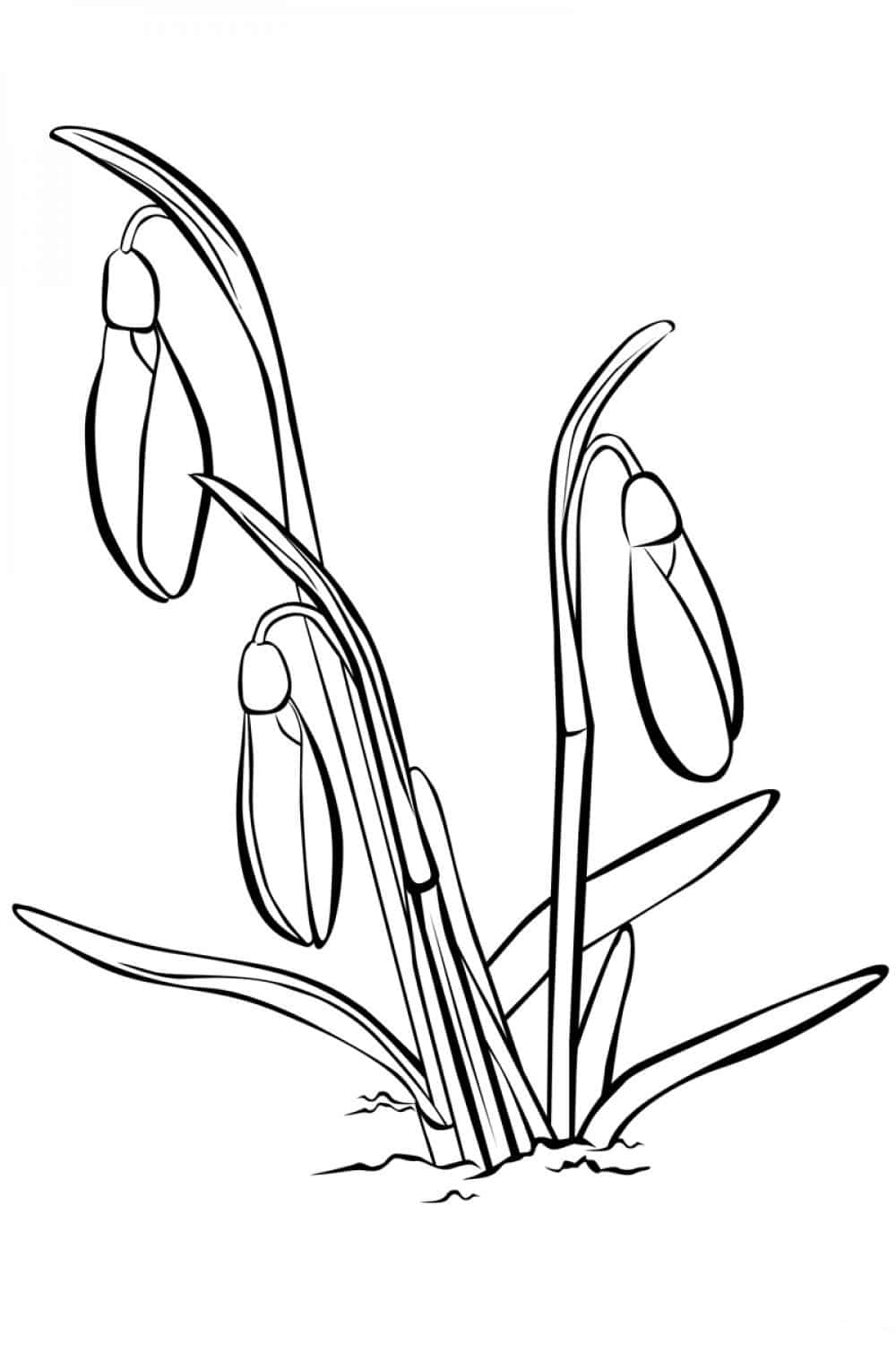 Flowers near the lake coloring page