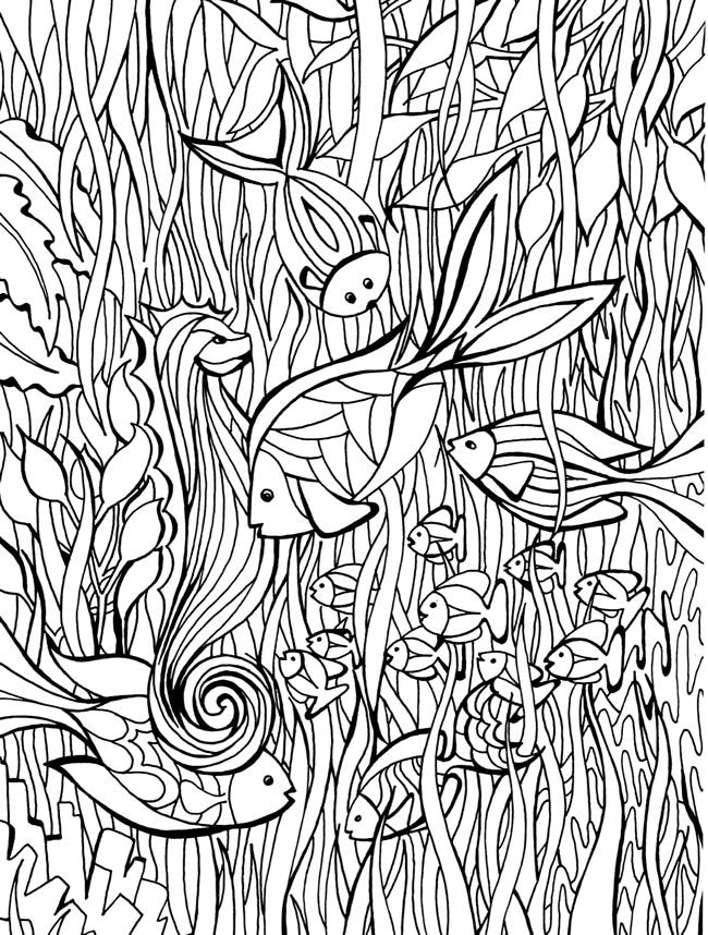 Fish