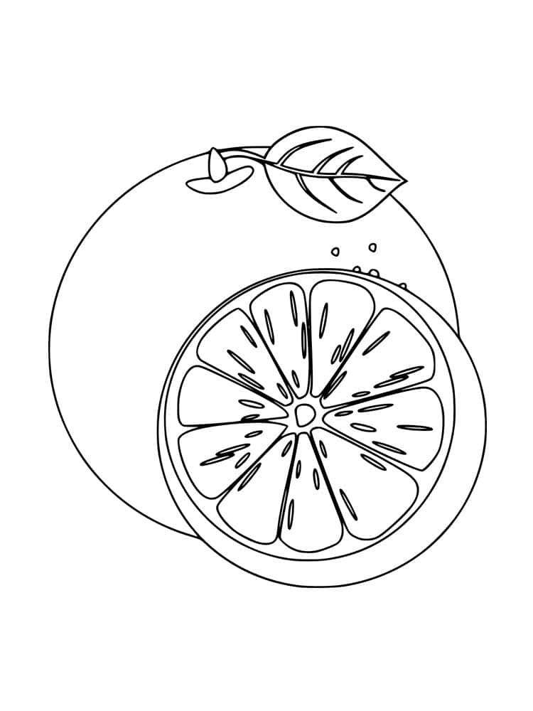 Line Drawing Of Orange With Leave Simple Line Vector Stock Illustration -  Download Image Now - iStock