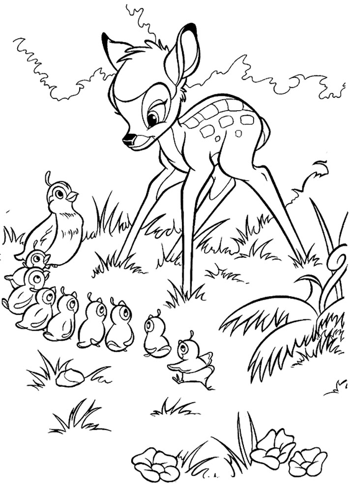 Bambi with little quail birds 