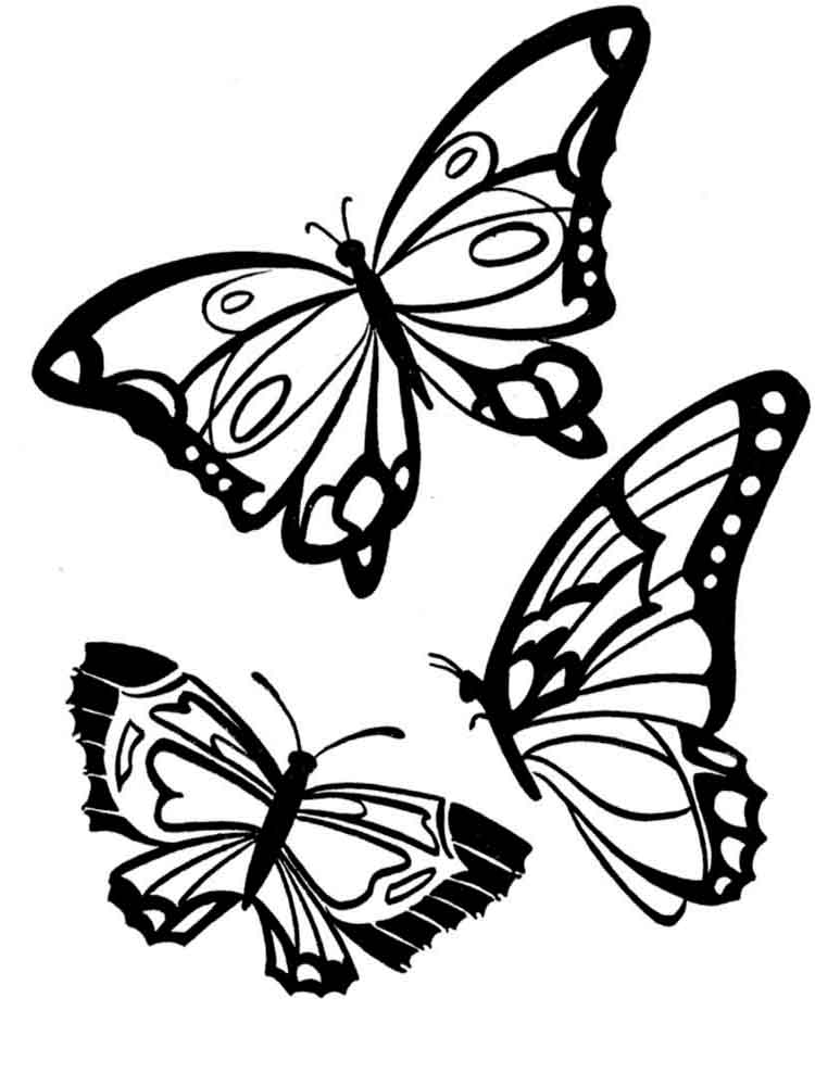 Drawing of three beautiful
  butterflies