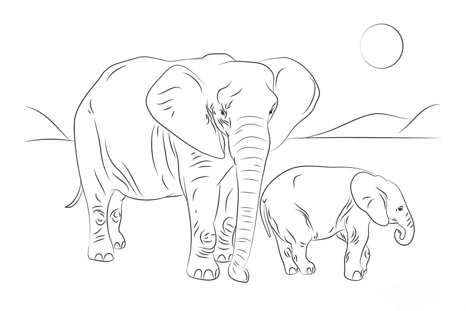 Mother Elephant Isolated Coloring Page For Kids Kids Calves Drawing Vector, Elephant  Drawing, Wing Drawing, Moth Drawing PNG and Vector with Transparent  Background for Free Download