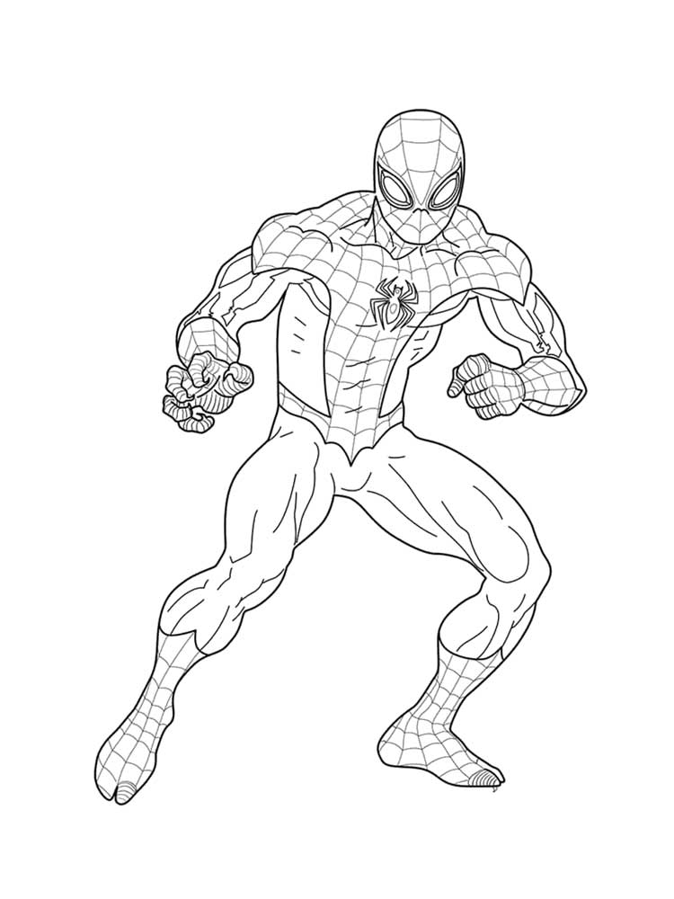 spiderman sketch standing