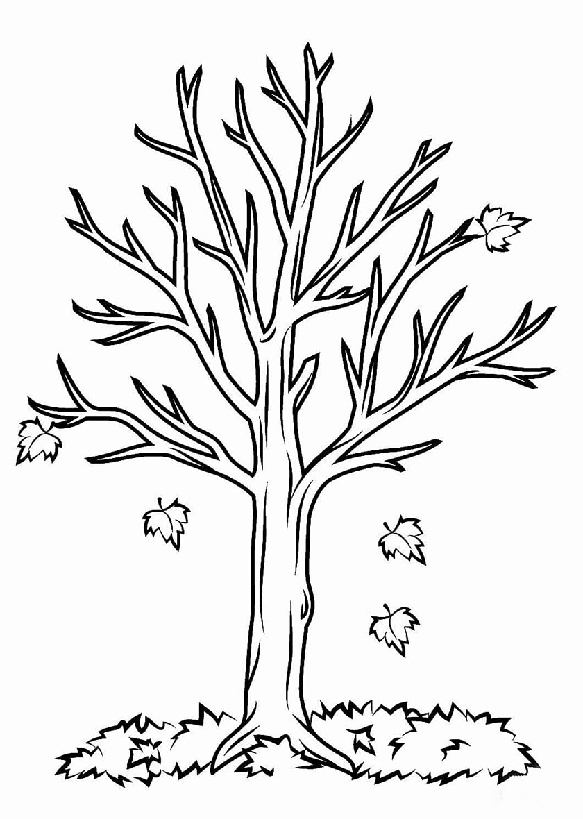 Drawing of a tree in the fall
