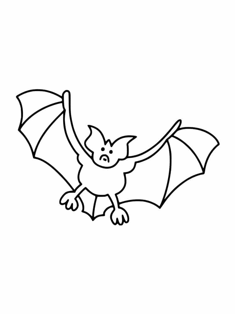 Bat with open wings