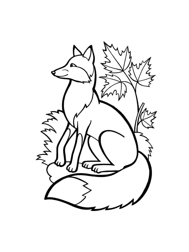 Drawing of a fox between
  leaves