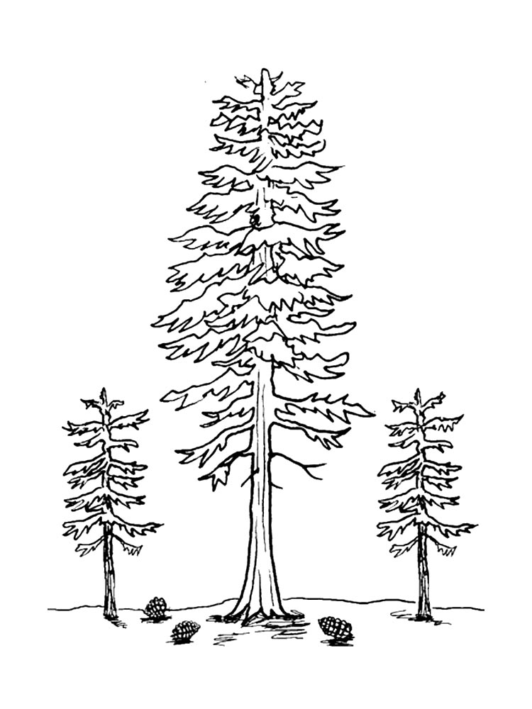 Painting
  of fir trees