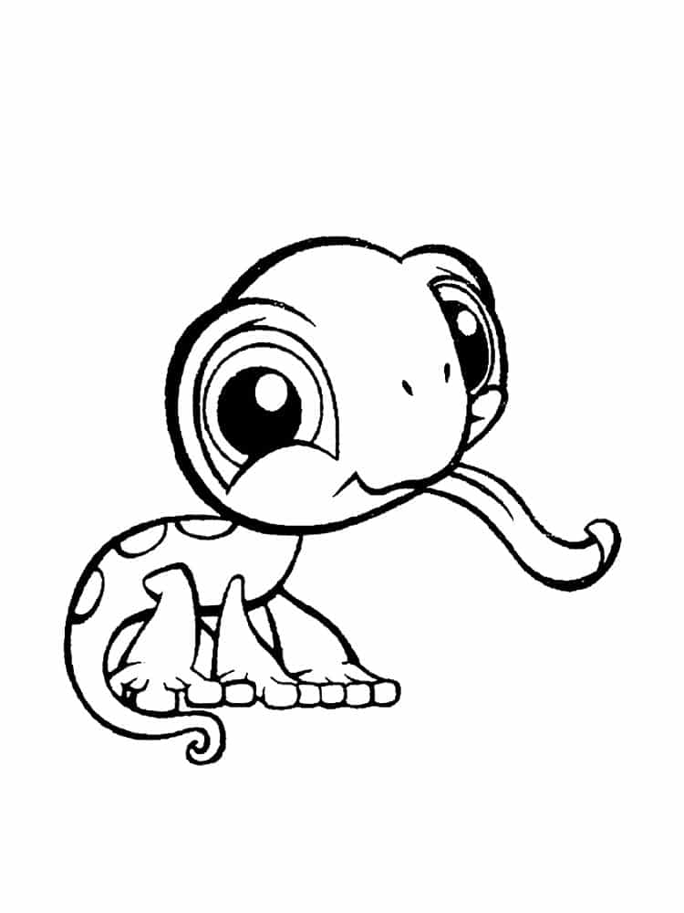 lizards coloring pages