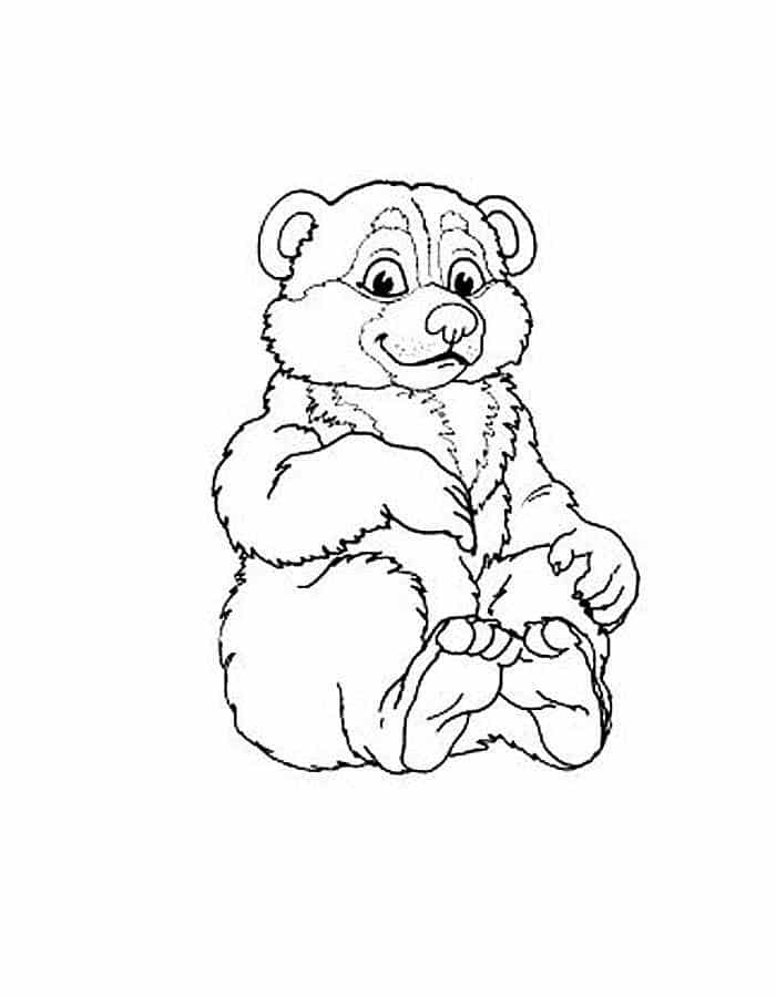 Furry teddy bear