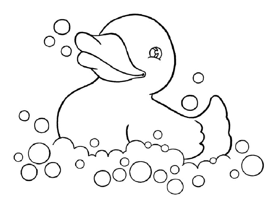 Duck in a bath