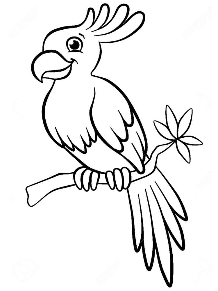 Drawing of a smiling parrot