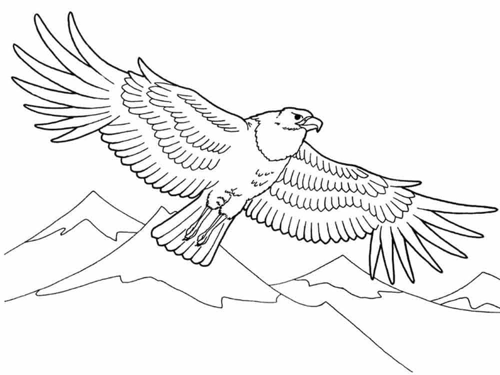  Eagle flying over a mountain chain