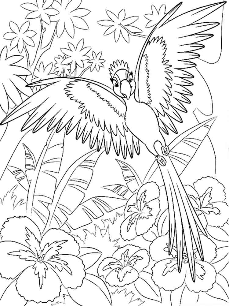 Beautiful drawing of a parrot with long tail