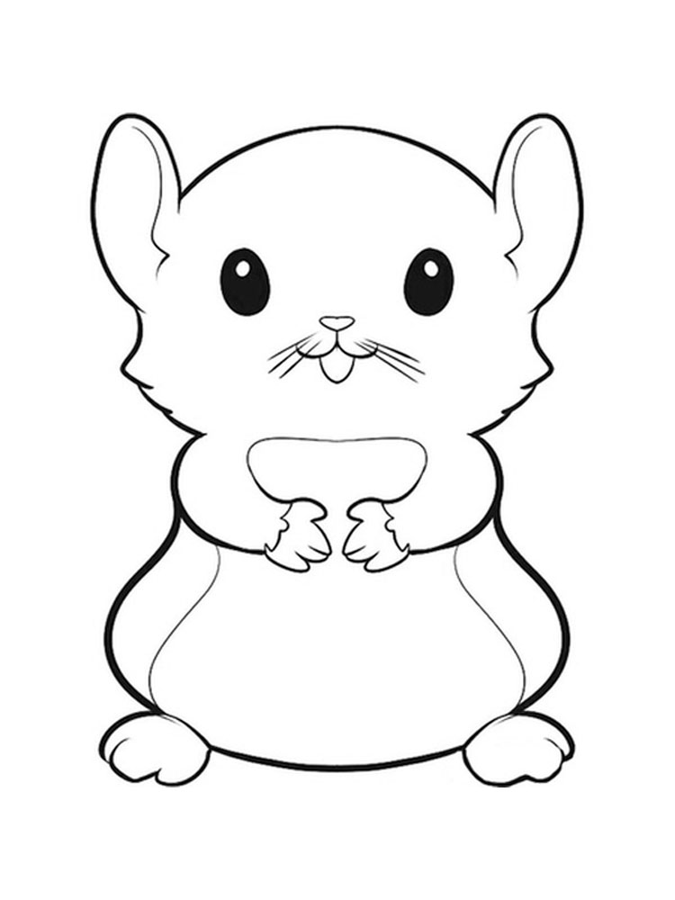 cute-little-hamster-coloring-page
