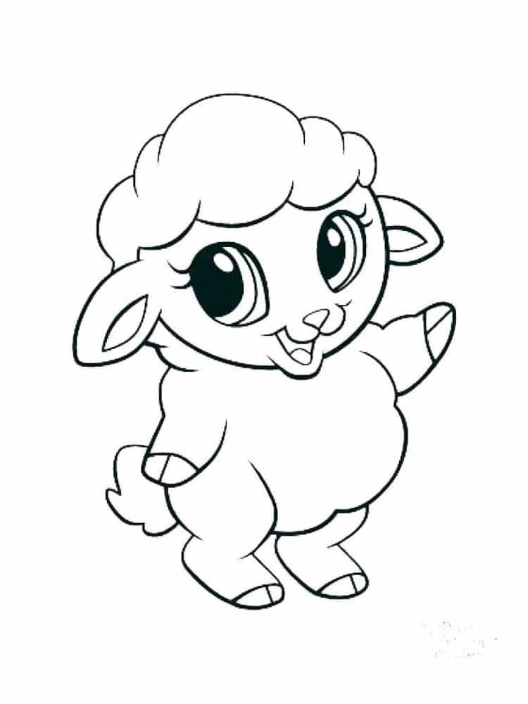 Smiling little sheep