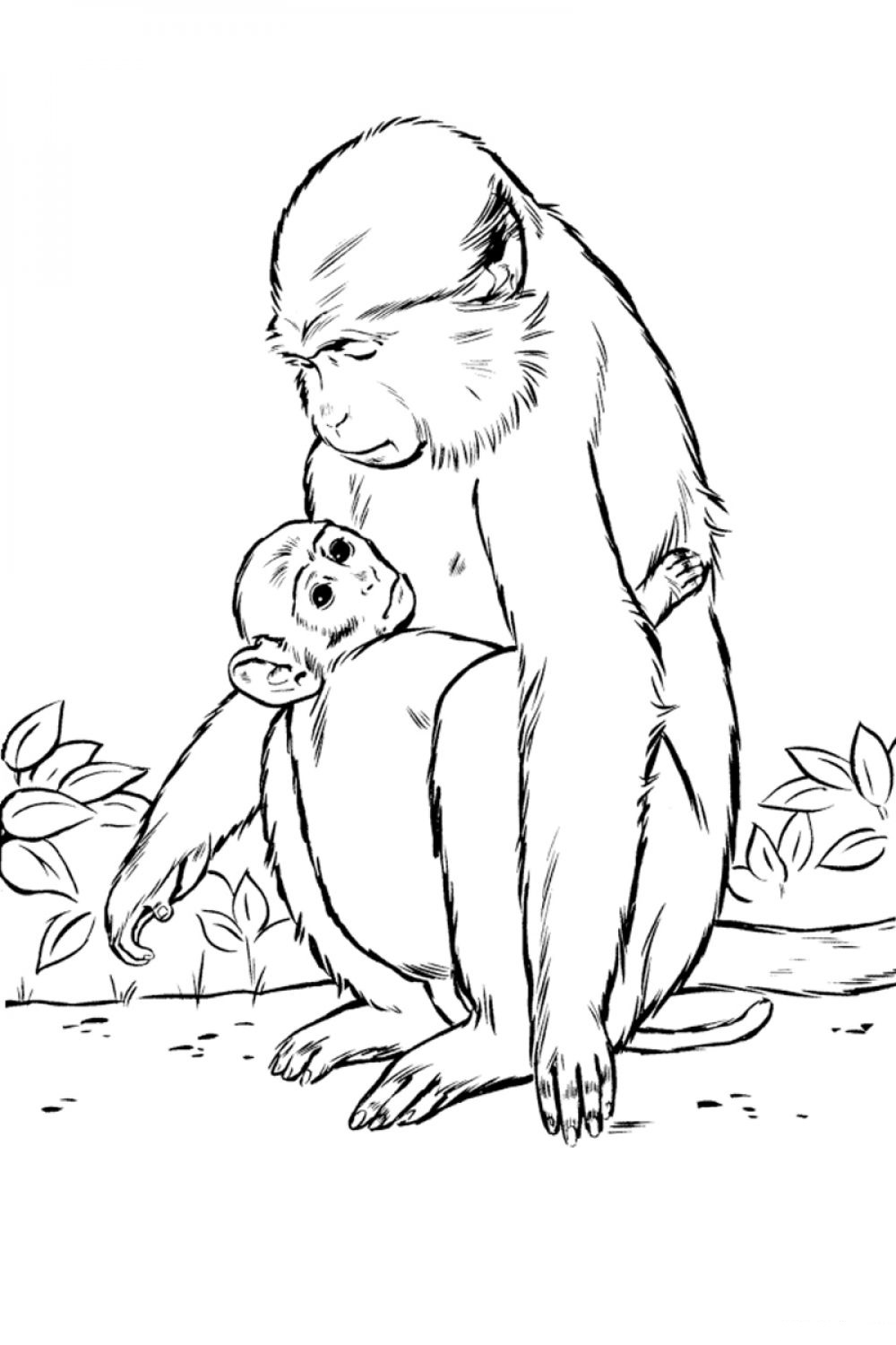 Drawing of a monkey hugging its
  mother
