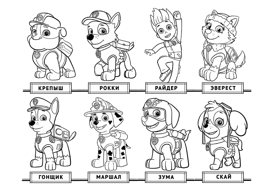 PAW Patrol squad with names