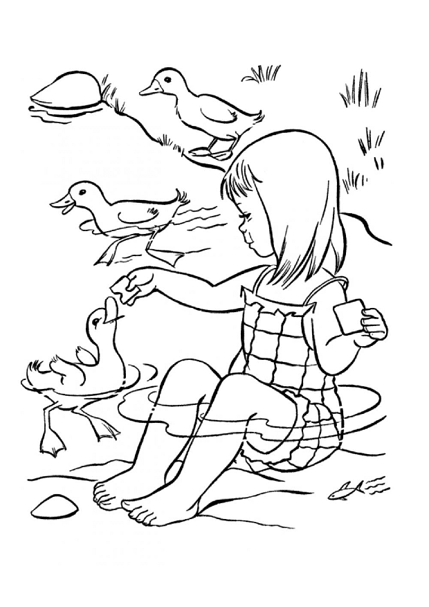 Girl feeding ducks in the lake