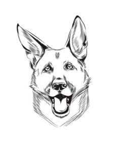 German Shepherd Coloring Pages coloring page