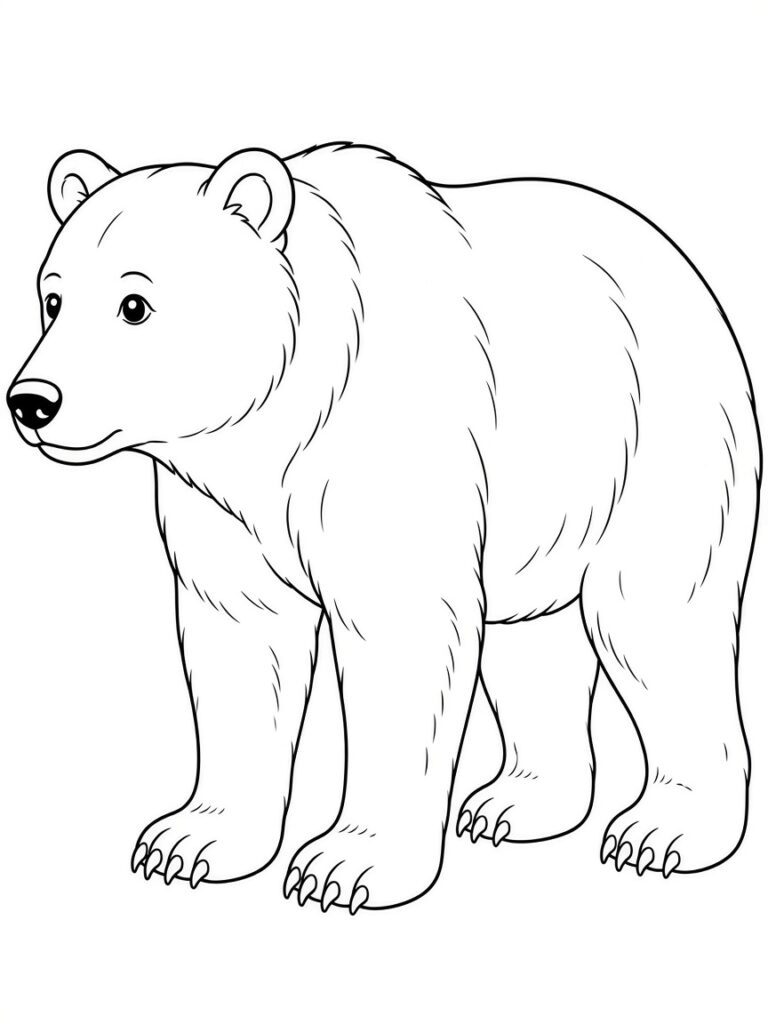 A big realistic bear coloring page