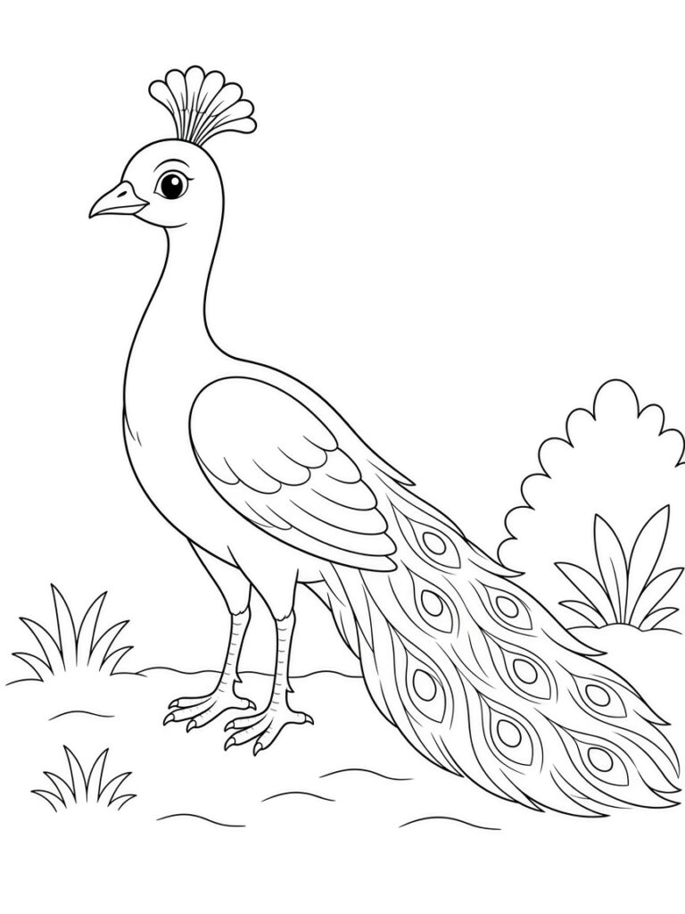 A charming realistic peacock colorimg page